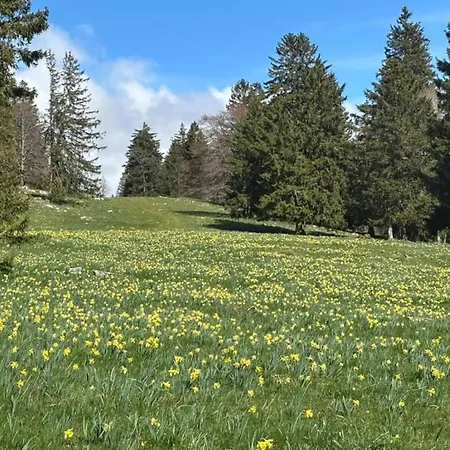 Kronenburger Couples * Hallschlag