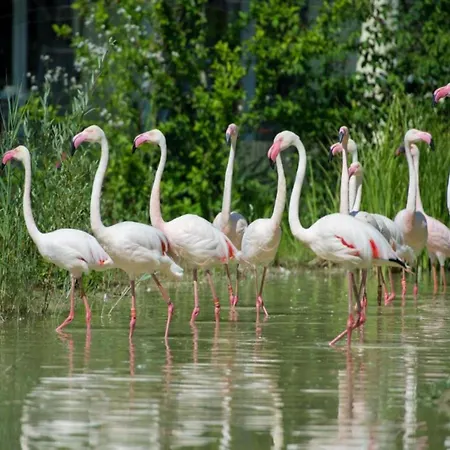 別荘 Kronenburger Couples *