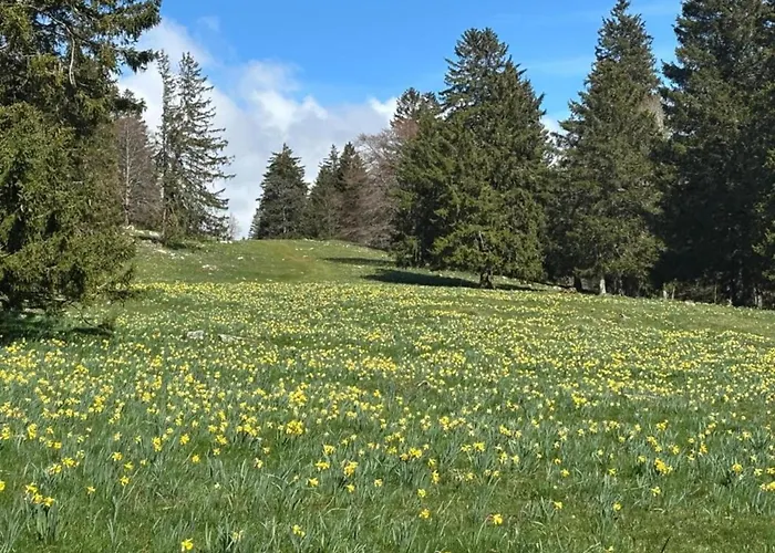 Kronenburger Couples * Hallschlag