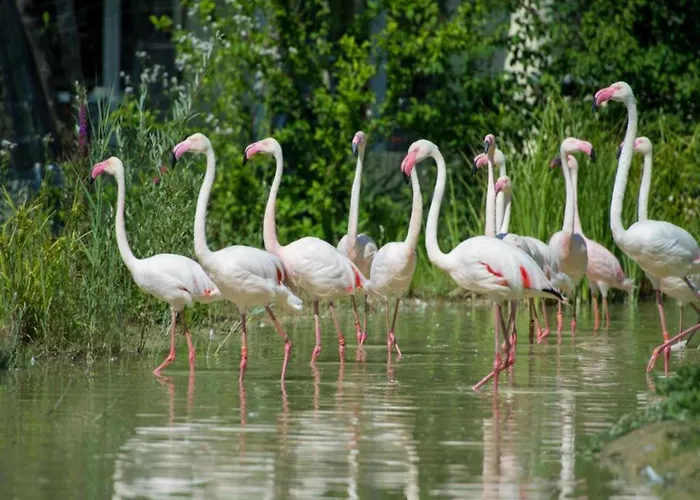 Casa de Férias Kronenburger Couples *
