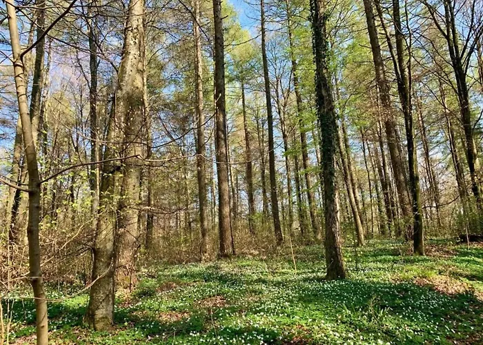 Kronenburger Couples Casa de Férias Hallschlag